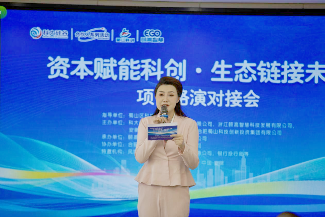 &ldquo;资本赋能科创&middot;生态链接未来&rdquo;项目路演对接会在合肥盛大举行